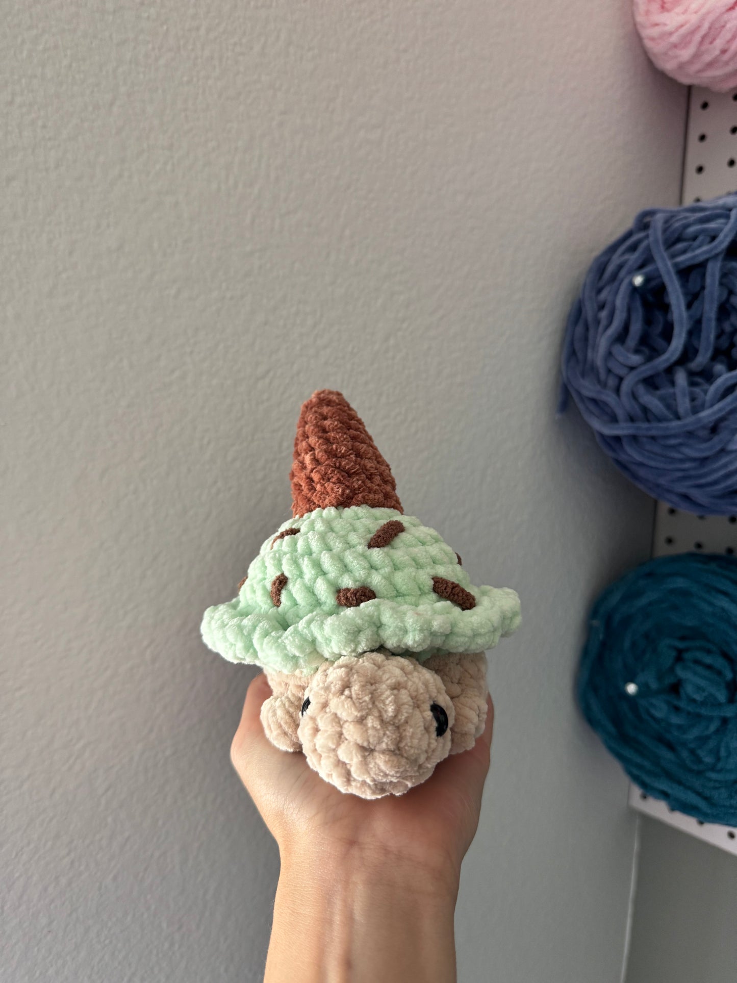Mint Chocolate Chip Turtle