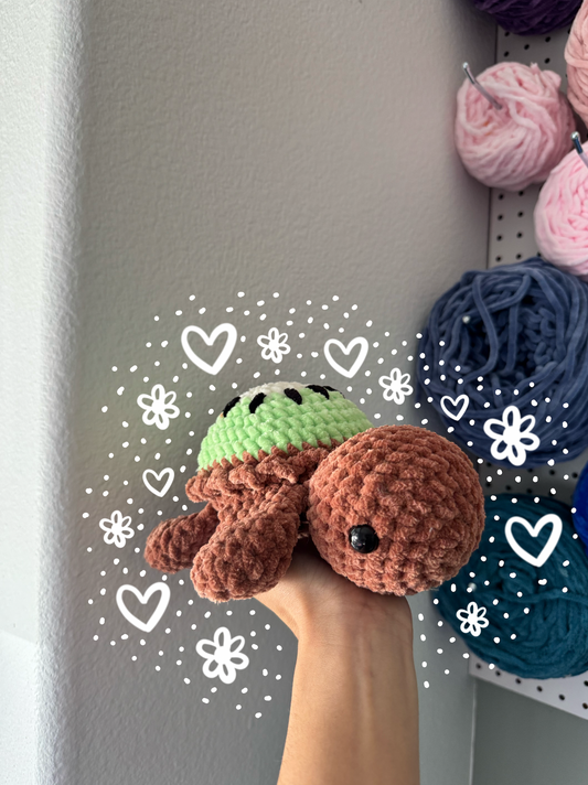 Kiwi Turtle