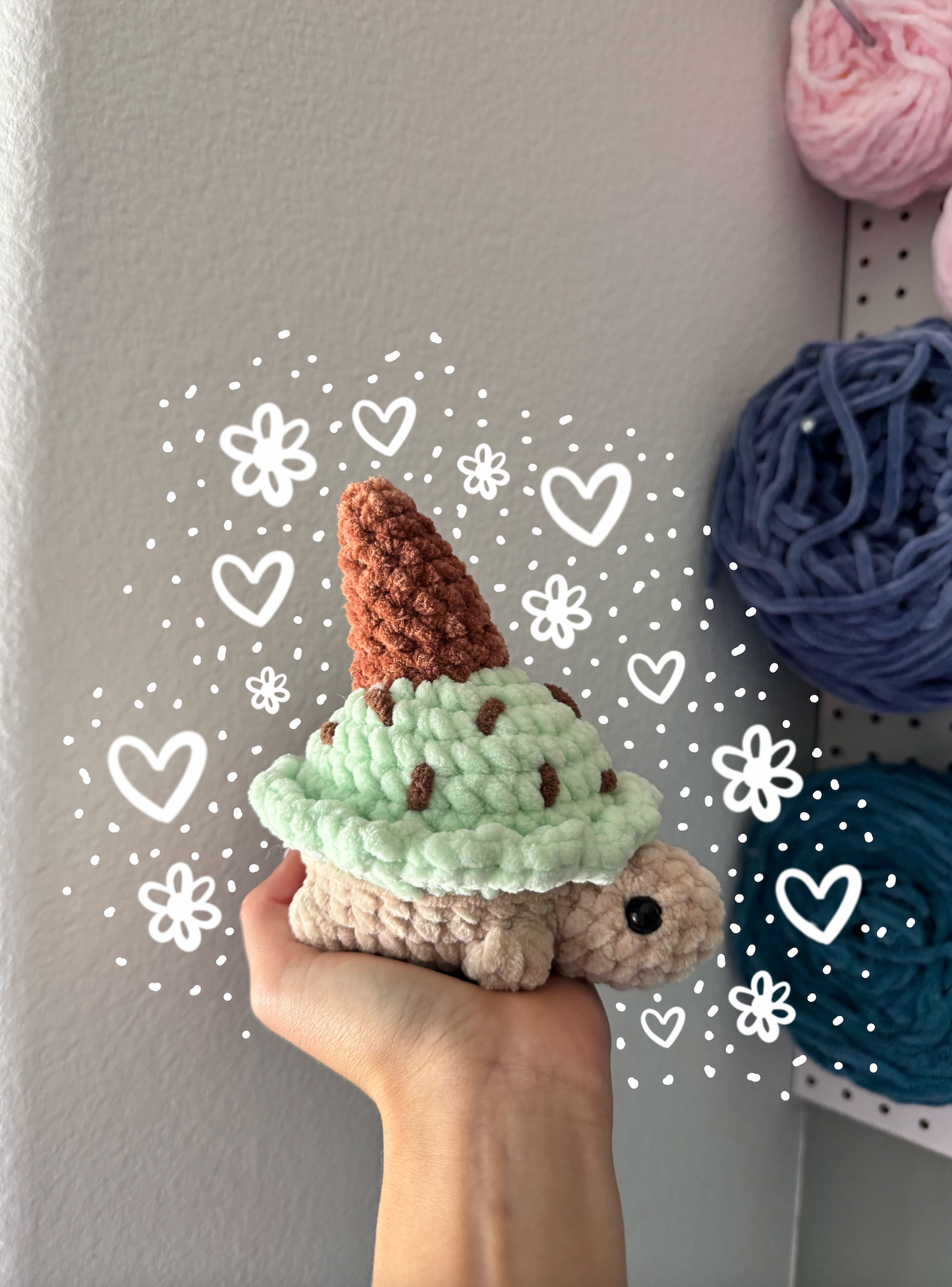 Mint Chocolate Chip Turtle