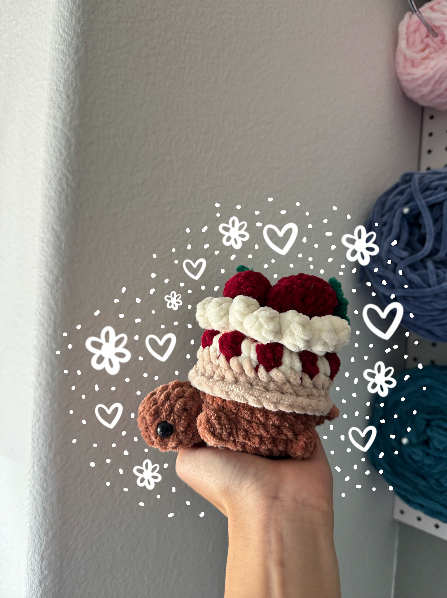 Strawberry Shortcake Turtle